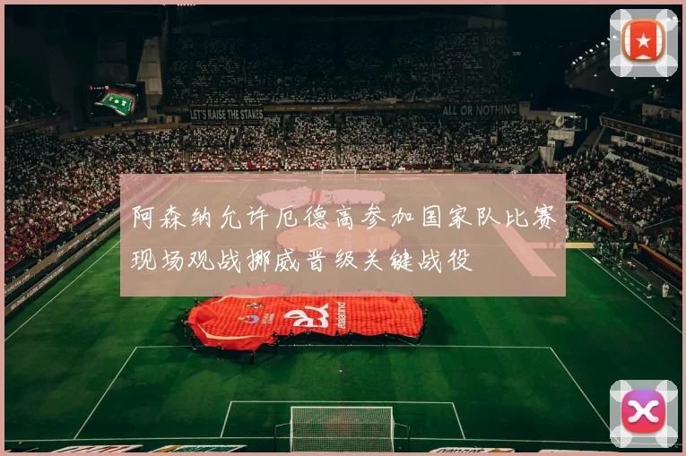 阿森纳允许厄德高参加国家队比赛现场观战挪威晋级关键战役