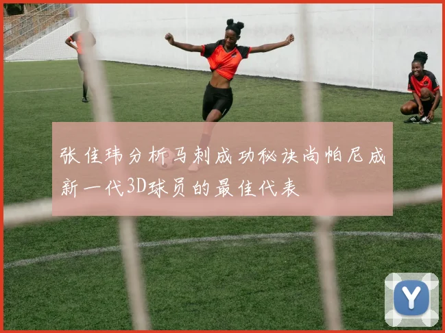 张佳玮分析马刺成功秘诀尚帕尼成新一代3D球员的最佳代表